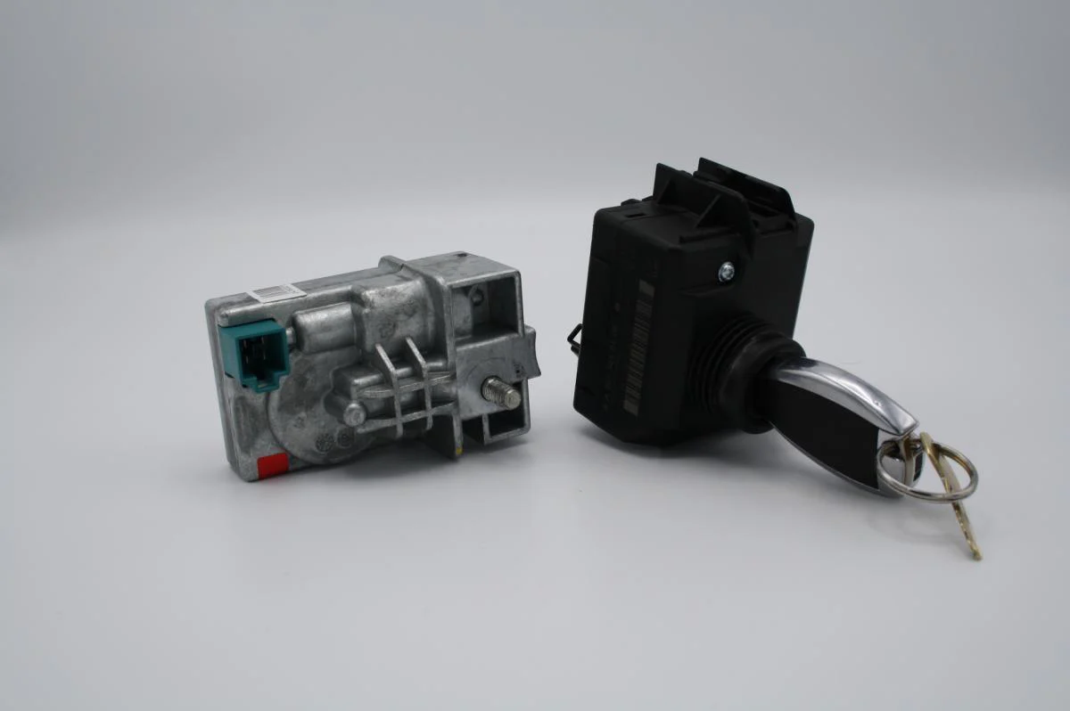 Miniatuur 1